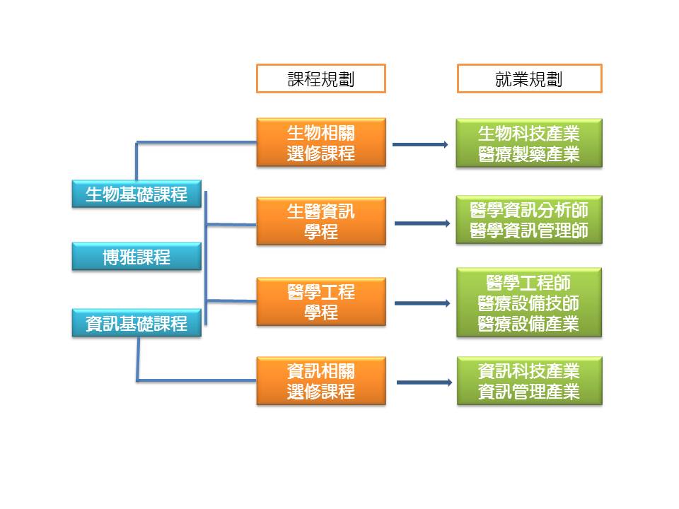 這是一張圖片 Program